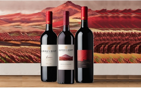 重慶涪陵智能溫室大棚助力葡萄產(chǎn)業(yè)發(fā)展